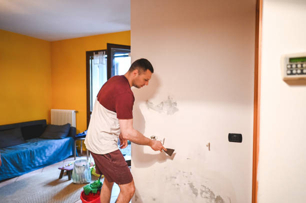 Best Residential Mold Removal  in Lo, HI